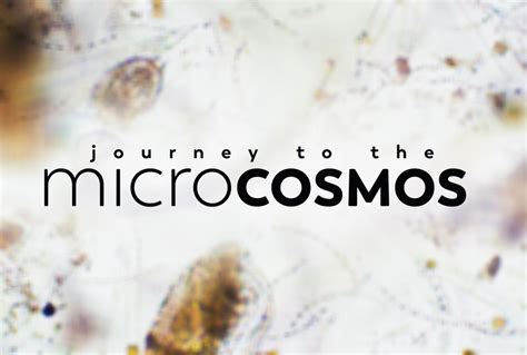  Journey to the Microcosmos: An Educational Adventure That Shrinks You Down to Size!