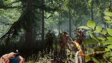 The Forest:  A Thrilling Survival Horror Adventure on a Mysterious Island!